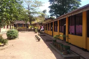 Homagama Maha Vidyalaya image