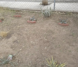 Hacienda del Real Park photo