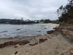 Collers Beach'in fotoğrafı vahşi alan