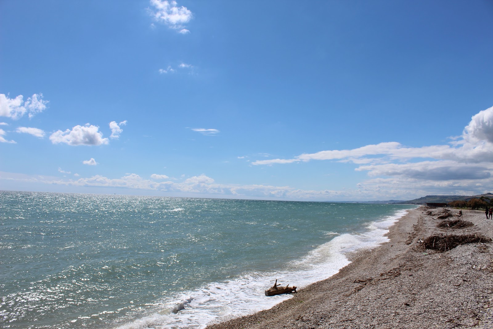 Scerne Beach'in fotoğrafı - Çocuklu aile gezginleri için önerilir