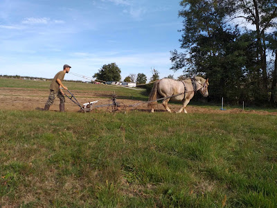 La P'tite Ferme de La Cour à Sainte-Radegonde