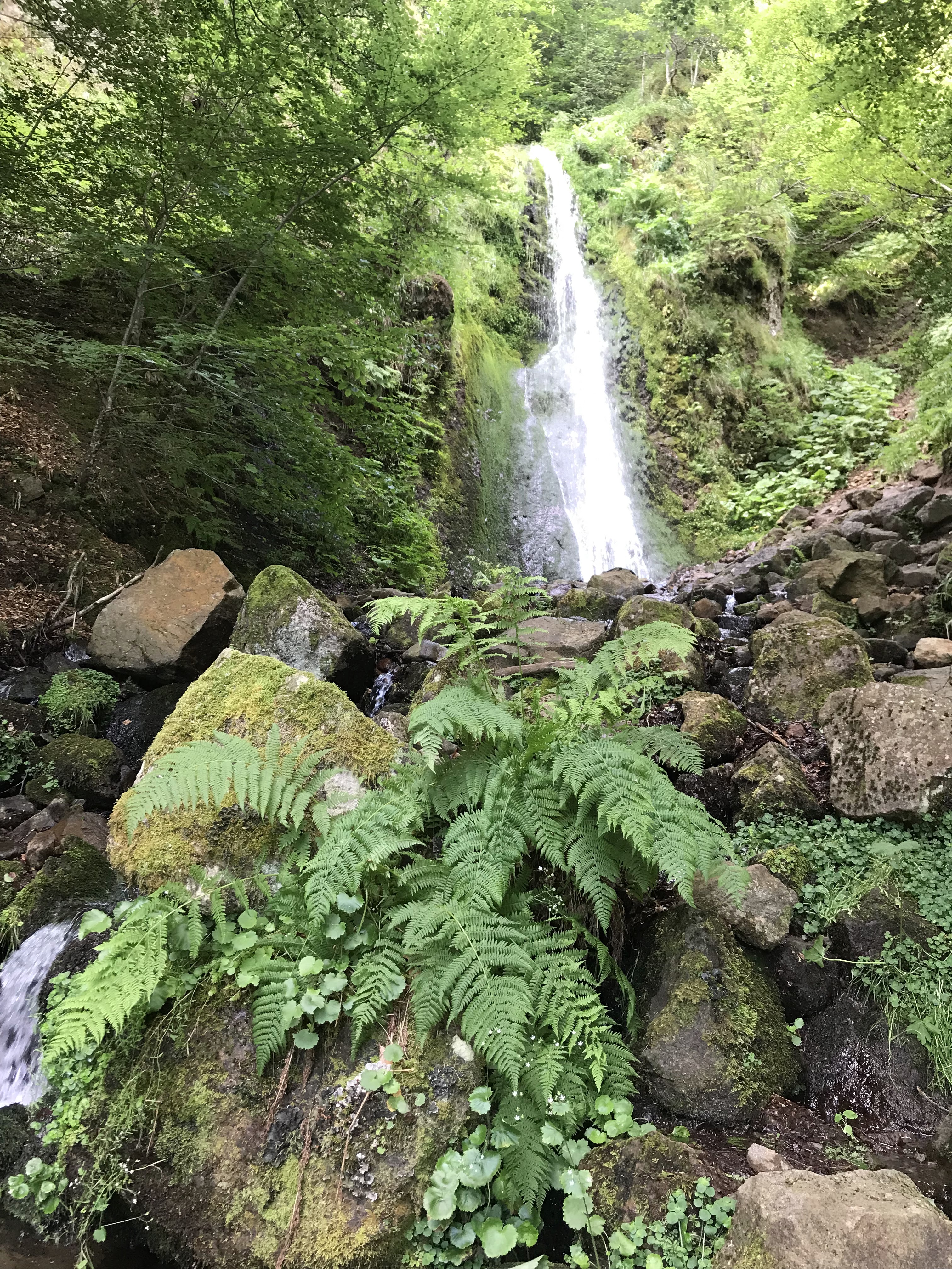 Photo n° 6 de l'avis de thierry.h fait le 10/07/2019 à 11:38