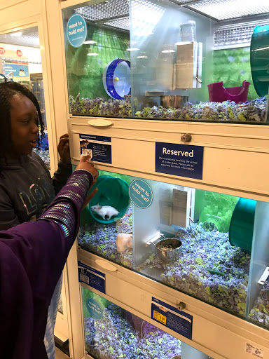 Pet Supply Store «PetSmart», reviews and photos, 3585 N Shiloh Dr, Fayetteville, AR 72703, USA