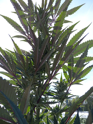 Historical Place «Klondike Gold Rush - Seattle Unit», reviews and photos, 319 2nd Ave S, Seattle, WA 98104, USA