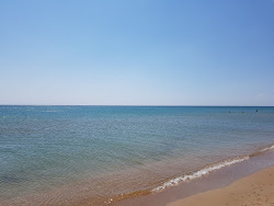 Photo de Plyazh Veselovka zone sauvage