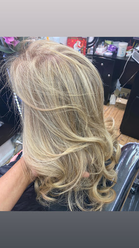 1003 Morris Park Ave, Bronx, NY 10462, USA