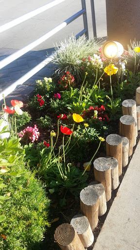 Sandwich Shop «Panera Bread», reviews and photos, 3521 E Foothill Blvd, Pasadena, CA 91107, USA