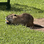 Photo n°4 de l'avis de S.. fait le 08/09/2023 à 08:06 sur le  Schlosshotel Villa Westerberge à Aschersleben