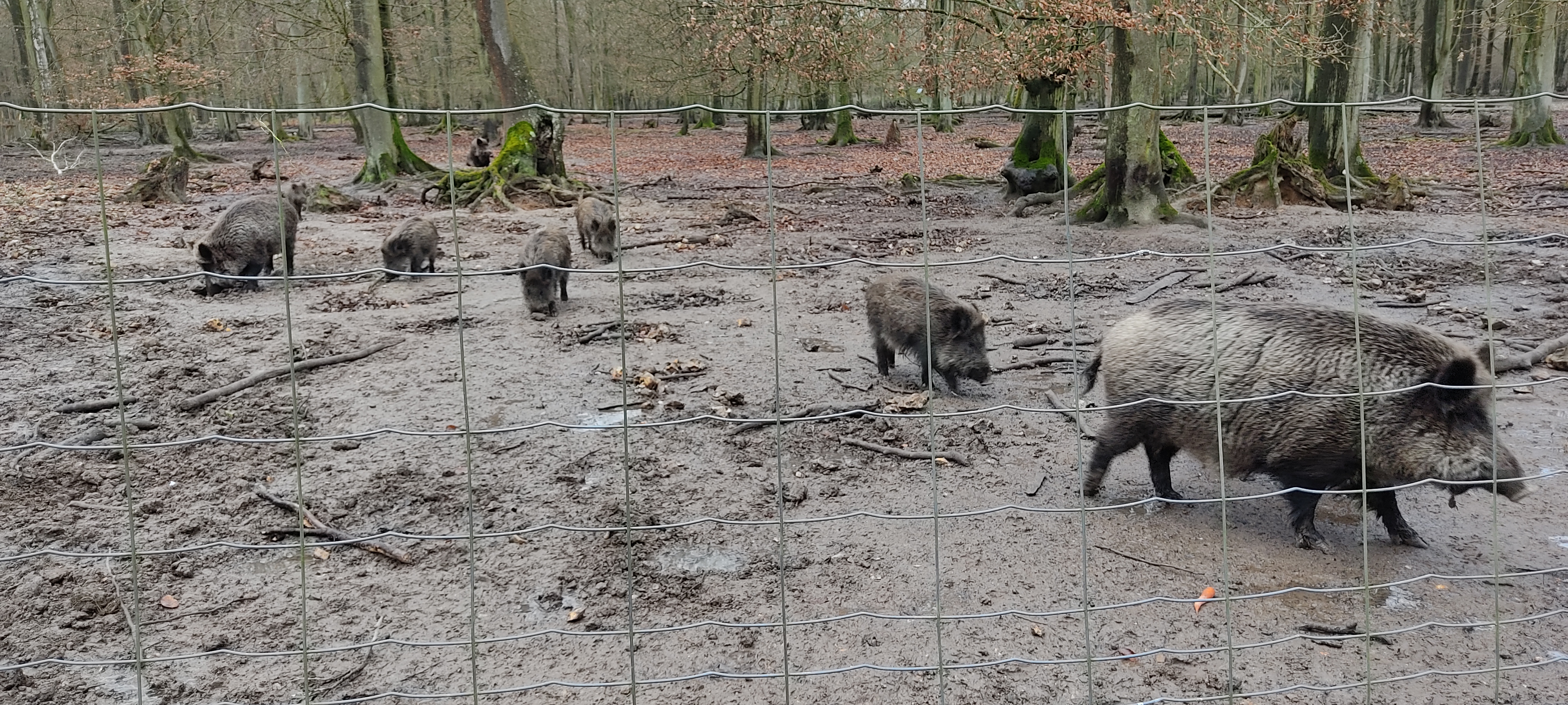 Photo n° 4 de l'avis de Marie.r fait le 02/02/2022 à 15:06