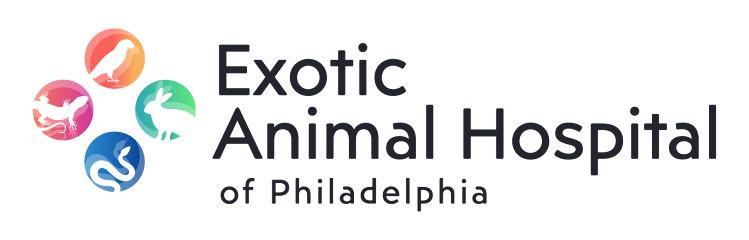 Exotic Animal Hospital of Pennsylvania