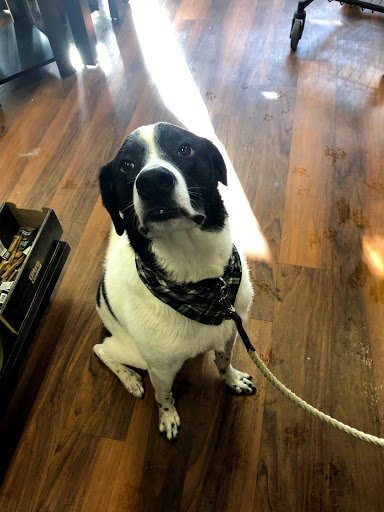 Pet Store «Pet Valu», reviews and photos, 2290 Central Park Ave, Yonkers, NY 10701, USA