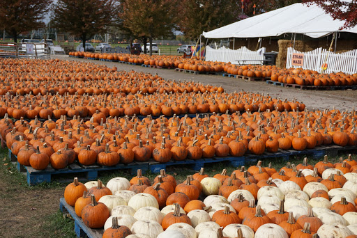 Produce Market «Didier Farms», reviews and photos, 16678 Aptakisic Rd, Lincolnshire, IL 60069, USA