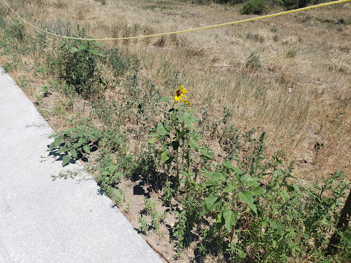 Park «Cherry Creek Valley Ecological Park», reviews and photos, 7500 S Jasper Ct, Centennial, CO 80112, USA