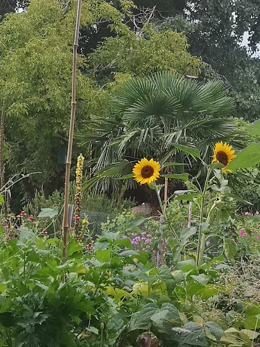 Rezensionen über Association des Cartons et Jardins du Cœur in Yverdon-les-Bains - Verband