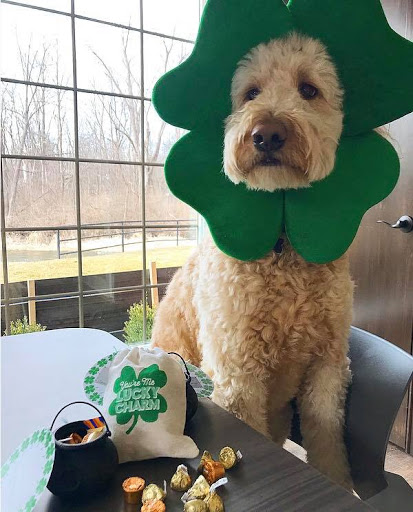 Auto Insurance Agency «Mike Bashore - State Farm Insurance Agent», reviews and photos