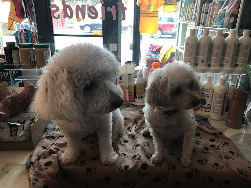 Pet Store «Discount Pet World», reviews and photos, 317 Clement St, San Francisco, CA 94118, USA