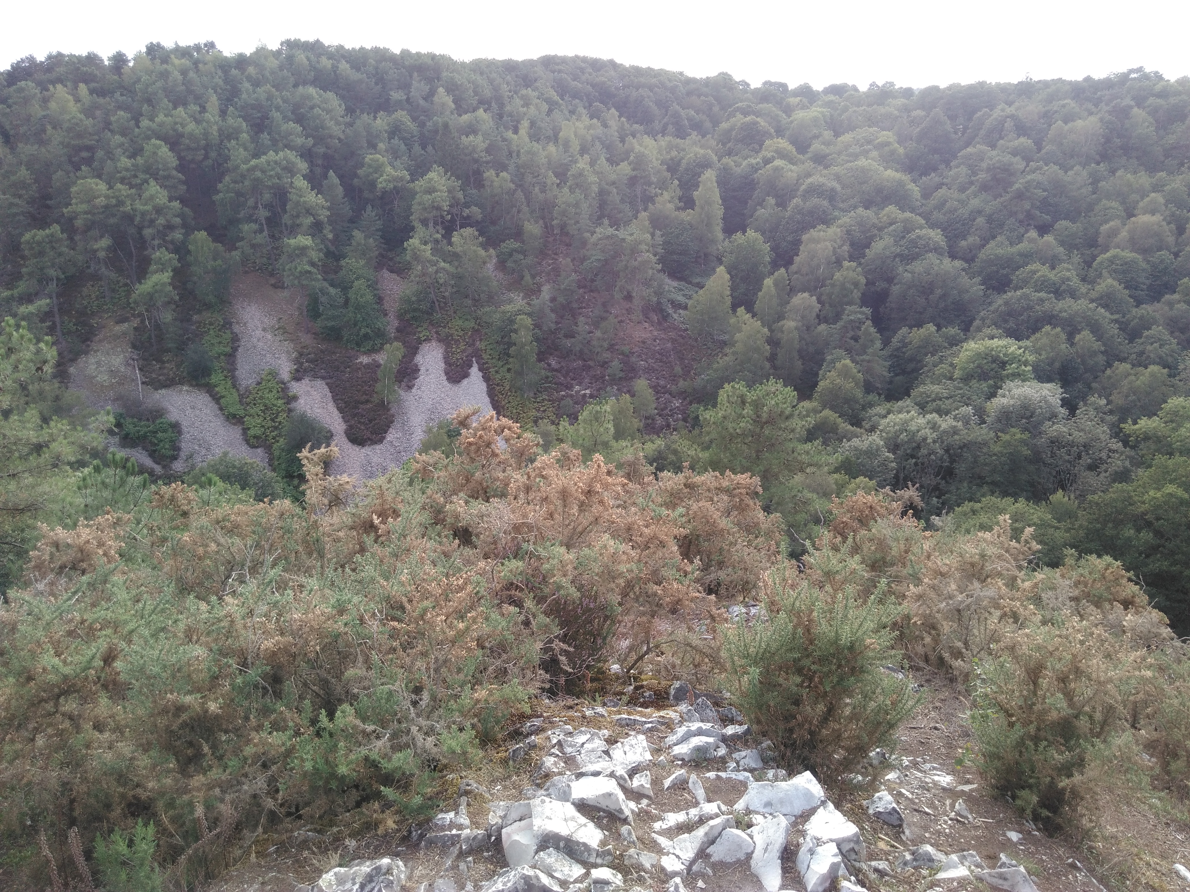 Photo n° 2 de l'avis de Sandrine.. fait le 31/08/2019 à 18:31
