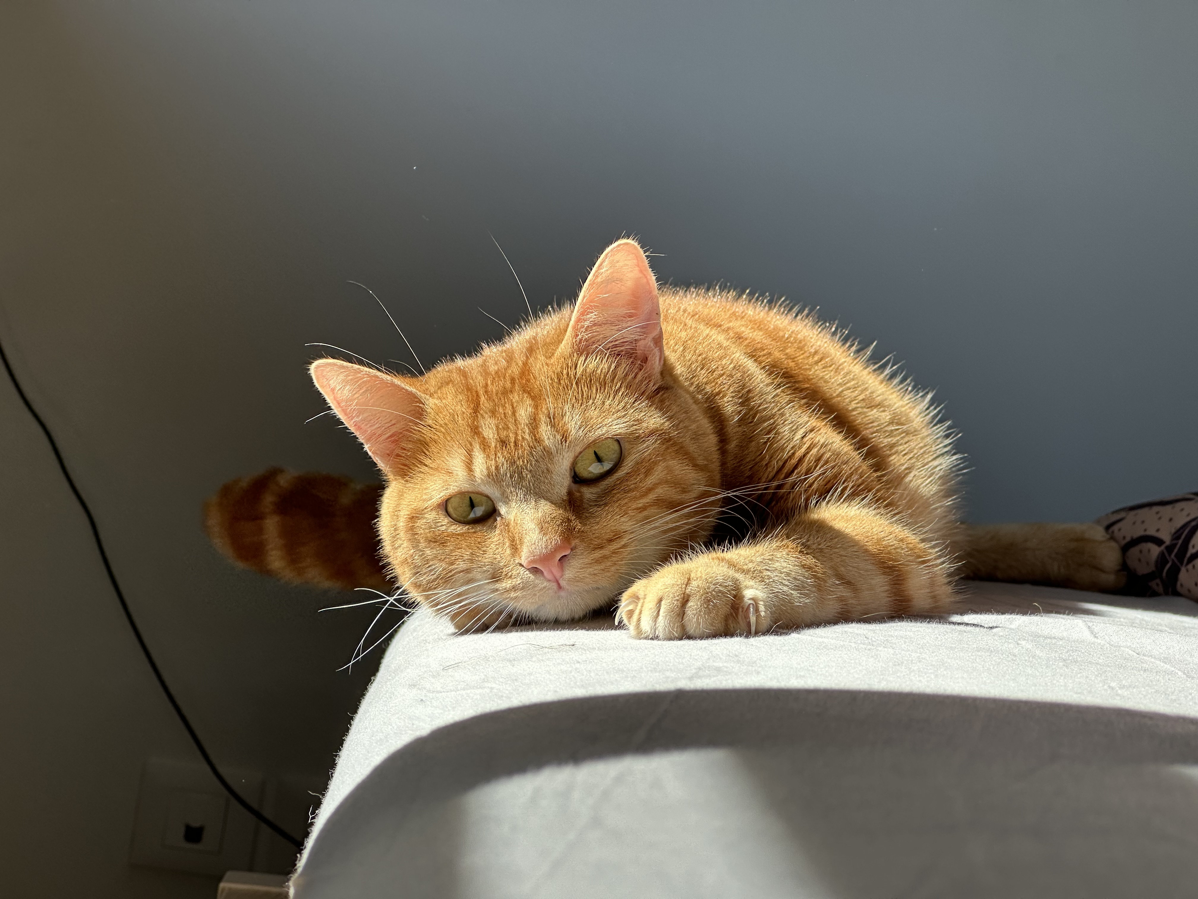 Photo n° 1 de l'avis de Chloé.a fait le 16/06/2023 à 15:42