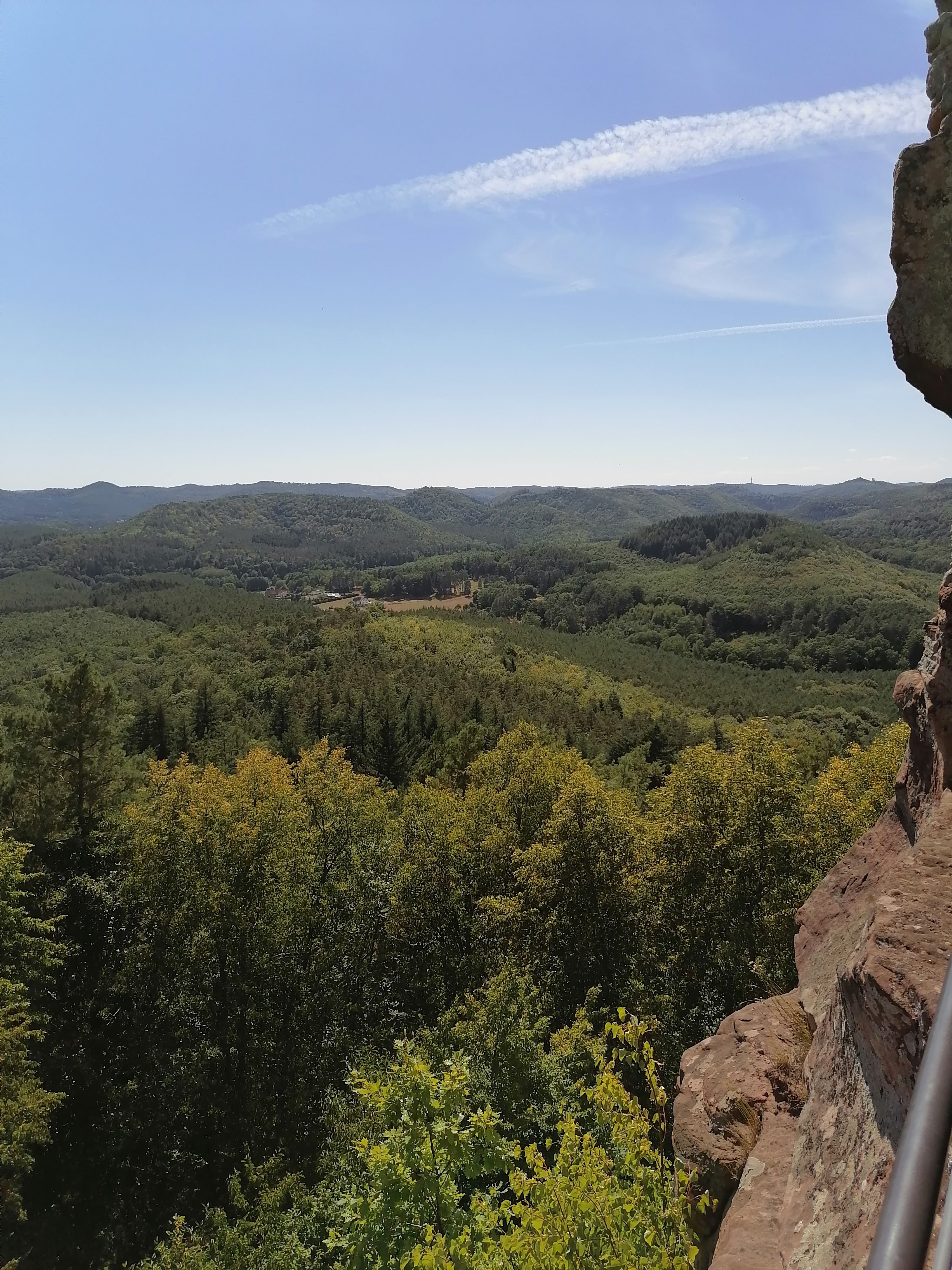 Photo n° 8 de l'avis de Noa.e fait le 27/07/2020 à 14:19