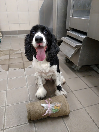 Pet Supply Store «Pet Supplies Plus», reviews and photos, 425 Water St, Chardon, OH 44024, USA