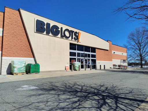 Big Lots, 5901 Stevenson Ave, Alexandria, VA 22304, USA, 