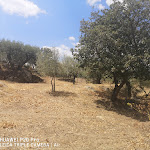 Photo n°3 de l'avis de Joska.r fait le 20/08/2021 à 08:25 sur le  Le Querce Di Cota à Troina