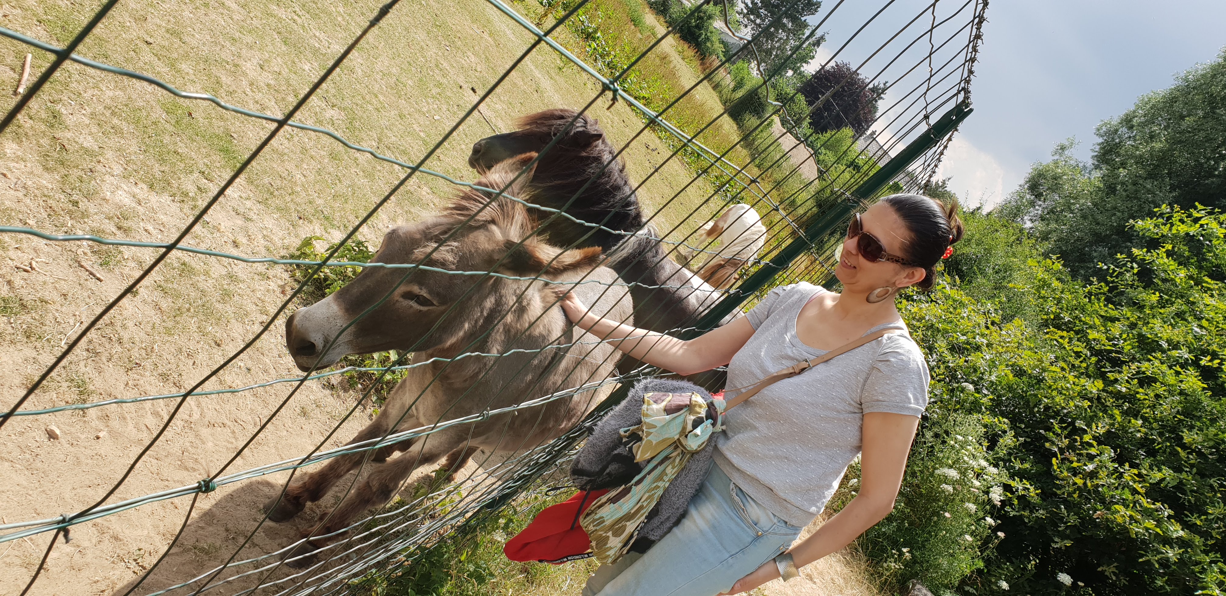 Photo n° 3 de l'avis de gaël.e fait le 14/06/2019 à 17:07