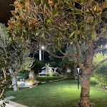 Photo n°2 de l'avis de Domenico.a fait le 02/09/2023 à 00:12 sur le  La Mia Terra..ristorante pizzeria à Impalata