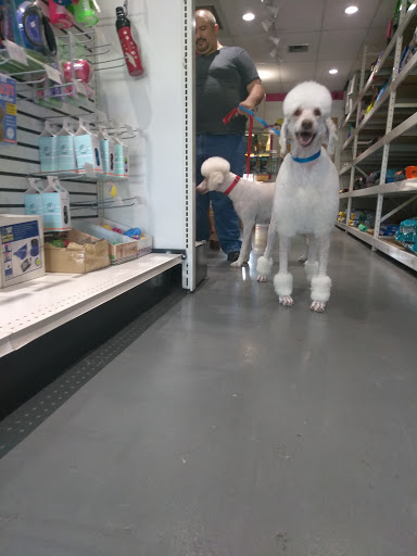 Pet Groomer «Pet Choice», reviews and photos, 4203 MacArthur Blvd, Oakland, CA 94619, USA