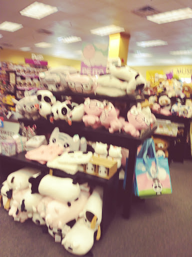 Book Store «Books-A-Million», reviews and photos, 116 Bangor Mall Blvd, Bangor, ME 04401, USA