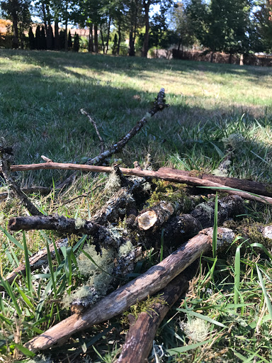 Park «Shadywood Park», reviews and photos, 535 NE 24th Ave, Hillsboro, OR 97124, USA