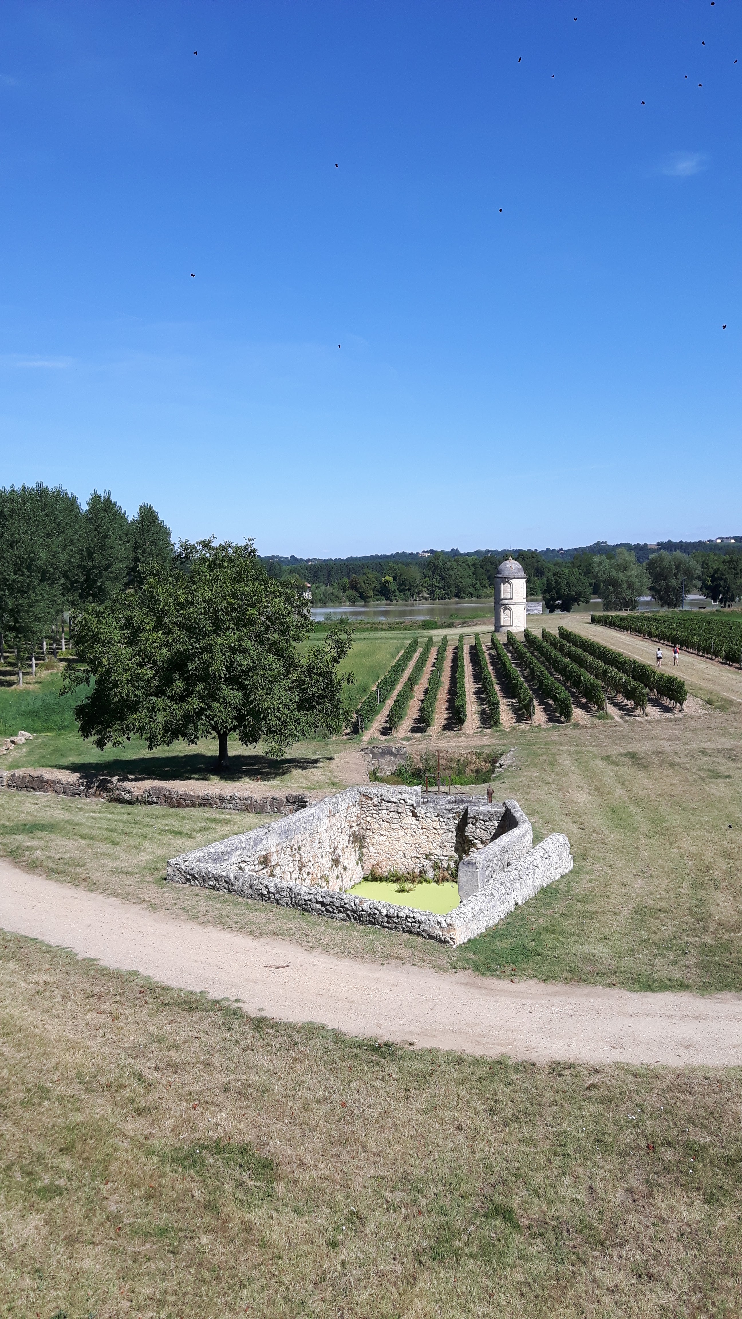 Photo n° 2 de l'avis de Veronique.r fait le 15/08/2018 à 10:51