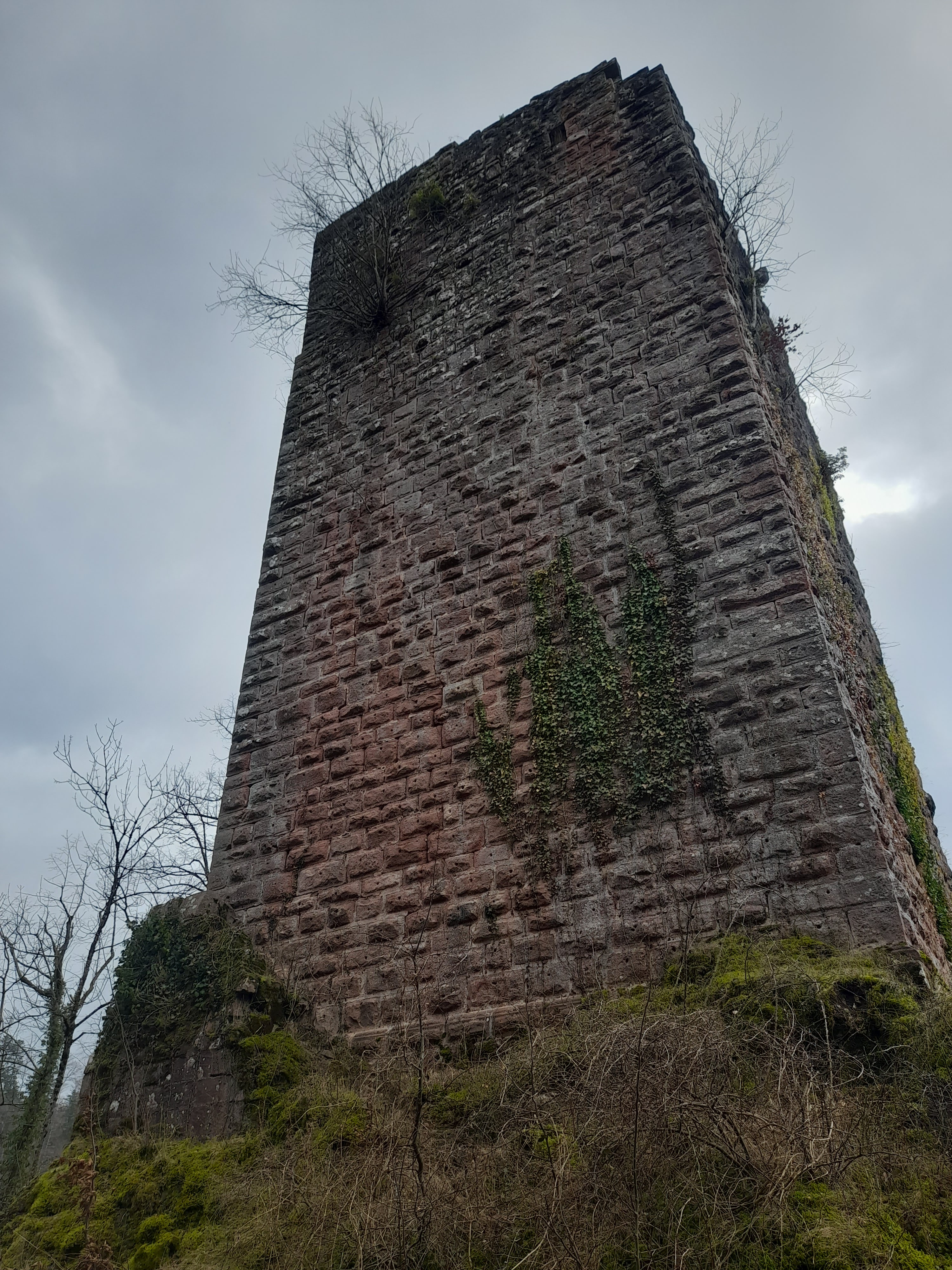 Photo n° 2 de l'avis de Allan. fait le 15/02/2024 à 17:31