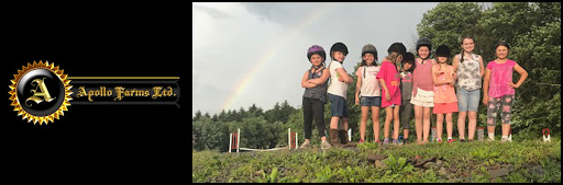 Horse Trainer «Apollo Farms Ltd.», reviews and photos, 3070 Summer Mountain Rd, Palmerton, PA 18071, USA