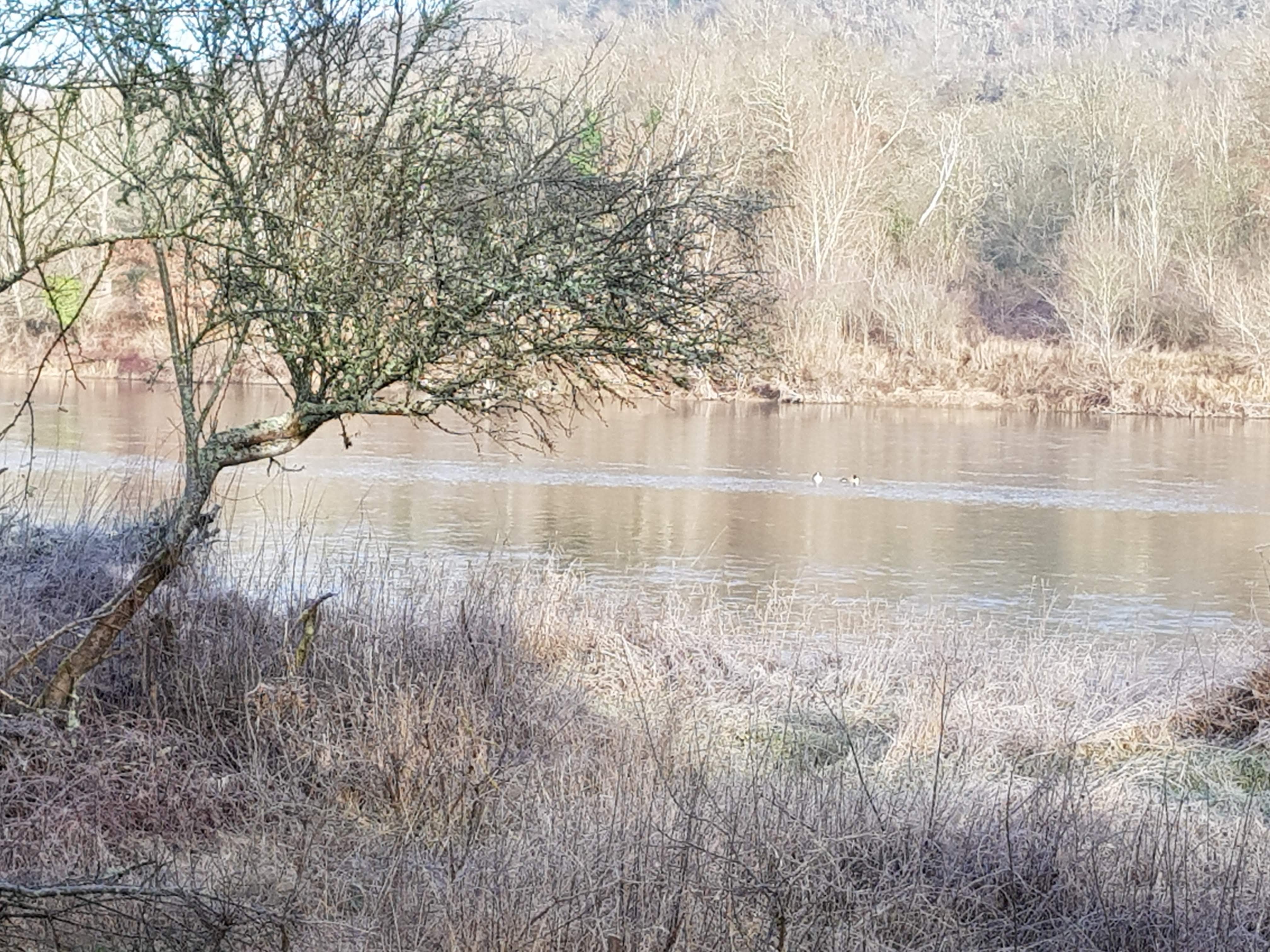 Photo n° 2 de l'avis de Fabrice.e fait le 22/02/2019 à 11:39