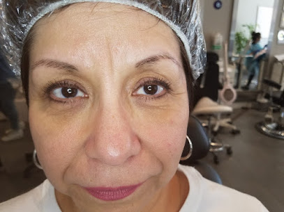 Microblading Hollywood Brows- The Eyebrow Repair Center