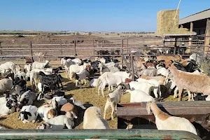 Brian's Goat Farm image