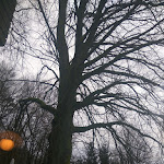 Photo n°3 de l'avis de Wahyu.i fait le 23/01/2018 à 13:41 sur le  Berggasthof Rothenberg à Schnaittach