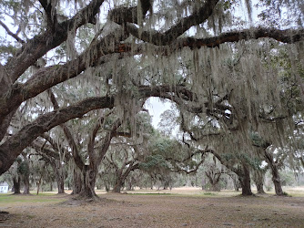 ACE Basin National Wildlife Refuge - The Grove Plantation