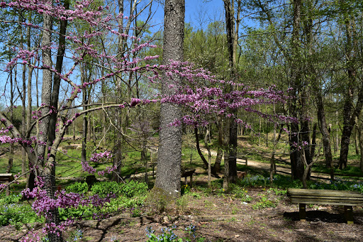 Nature Preserve «Creasey Mahan Nature Preserve», reviews and photos, 12501 Harmony Landing Rd, Goshen, KY 40026, USA