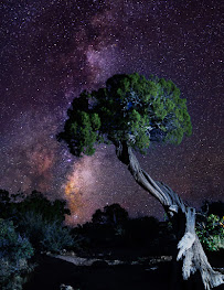 Arthur Borges Photography - Photo 5 - Car repair in , The Woodlands