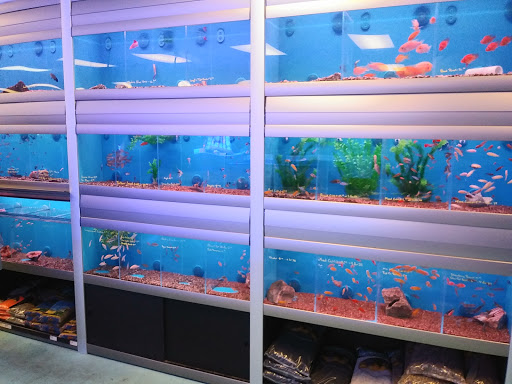 Pet Store «The Aquarium & Fish Store», reviews and photos, 710 W Lumsden Rd, Brandon, FL 33511, USA