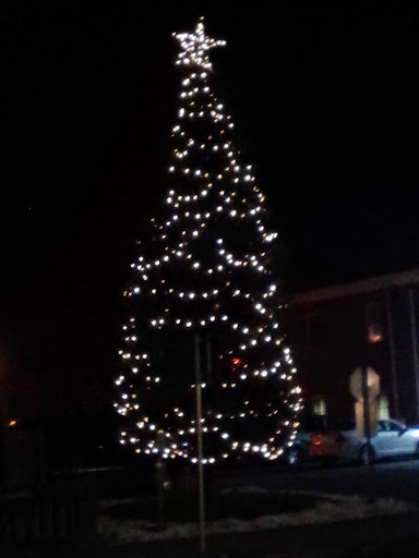 Discount Store «Dollar General», reviews and photos, 185 E King St, Strasburg, VA 22657, USA