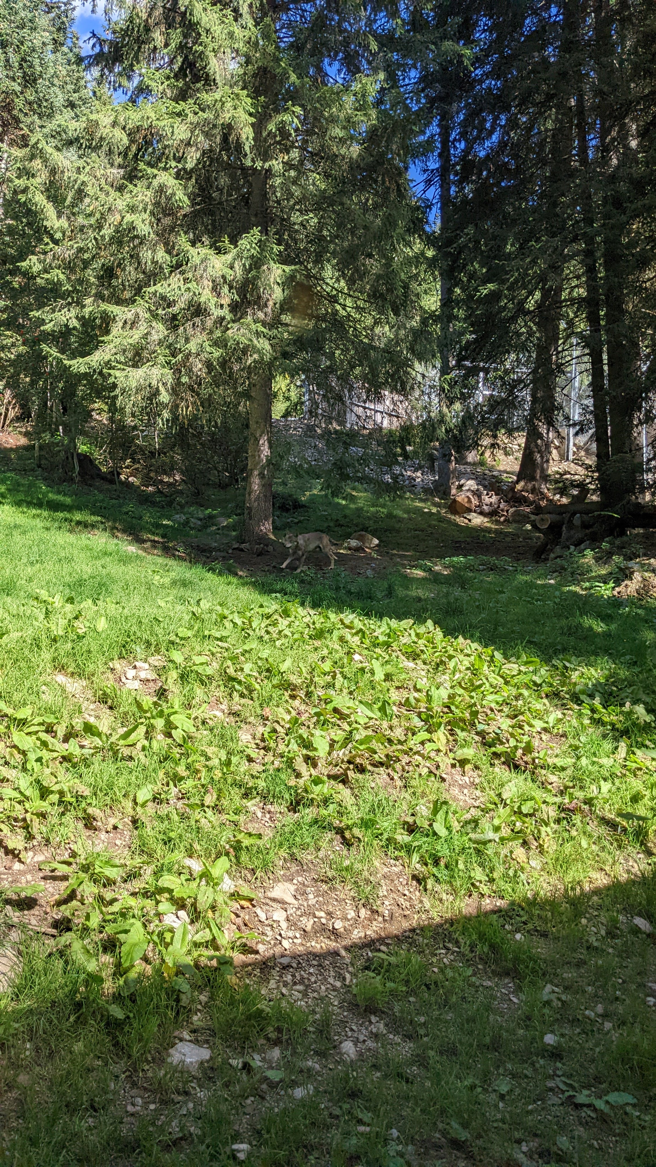 Photo n° 23 de l'avis de Florian.o fait le 11/09/2022 à 15:52