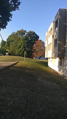 Résidence étudiante Le Galion - Cardinal Campus à Écully