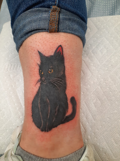 Explore cute mushroom tattoo ideas, creative tattoo ideas in Harrisburg, available at 717 Tattoo, Body Piercing, and Tattoo Removal Studio 2