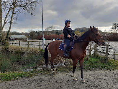 Ecole de Garde Particulier Equestre T2SI à Buire