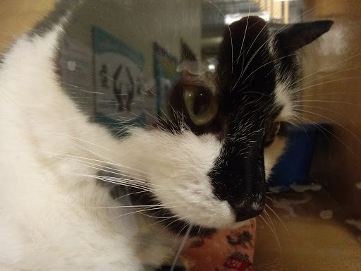 Pet Supply Store «PetSmart», reviews and photos, 1232 Hooper Ave, Toms River, NJ 08753, USA