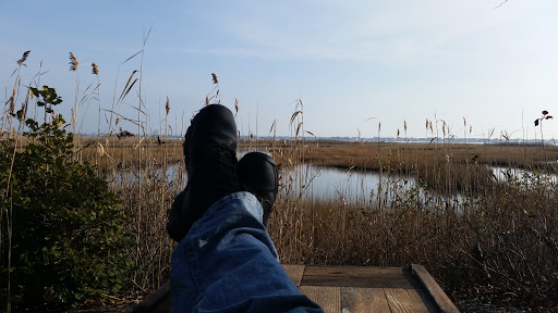 Nature Preserve «Edwin B. Forsythe National Wildlife Refuge- deCamp Wildlife Trail», reviews and photos, 365 Mantoloking Rd, Brick, NJ 08723, USA