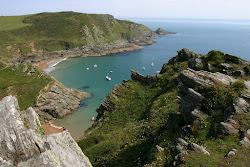 Photo de Maceley Cove situé dans une zone naturelle